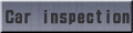 Car inspection 